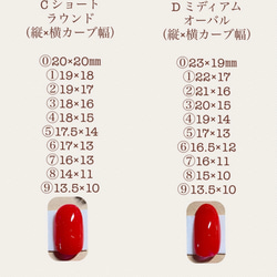  第4張的照片