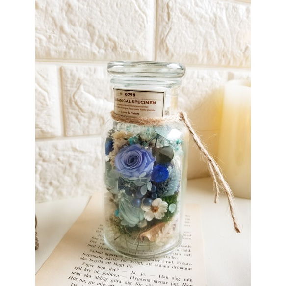 「新作」20種類入り✨ボタニカルボトル『 BOTANICAL SPECIMEN-№0798　bleu（青）』 2枚目の画像