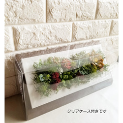 ★送料無料／多肉植物好きさんにオススメ♪ Plants frame「 Succulent（ｻｷｭﾚﾝﾄ）№2」 7枚目の画像