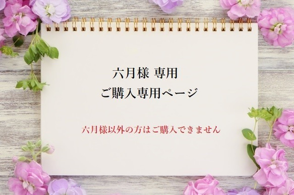 ★六月 様 専用ご購入ページ★ 1枚目の画像