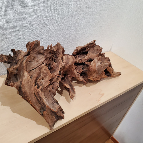 大型 流木 立体・オブジェ DAIKUYA 通販 9400194｜Creema(クリーマ)