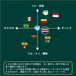 《期間限定》コスタリカ ハーモニー レッドハニー【中深煎り 200g】 3枚目の画像