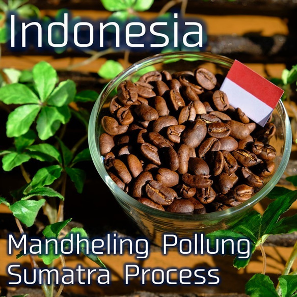 【深煎り】インドネシア マンデリン ポルン スマトラ式 200g 1枚目の画像