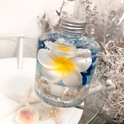 プルメリア×貝殻♡ハワイマリン系インテリア ハーバリウム