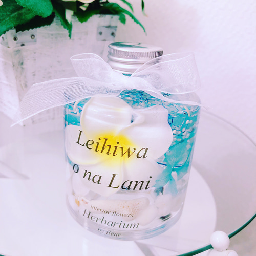 プルメリア×貝殻♡ハワイマリン系インテリア ハーバリウム