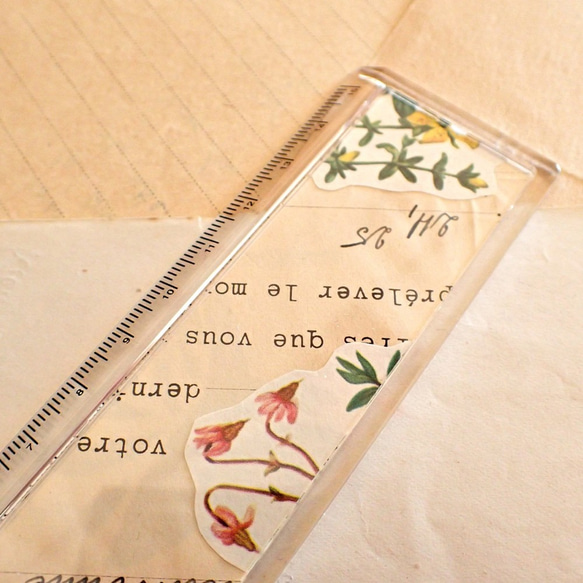 標本定規［古い植物図鑑を封印］ #002 3枚目の画像