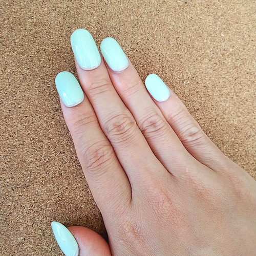 くすみネイル 翡翠色 ミントグリーン ネイルチップ（つけ爪） Iris