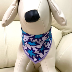 クールバンダナ Sサイズ　 保冷剤ポケット付き　接触冷感生地　ペット　犬　猫　ポップ 4枚目の画像