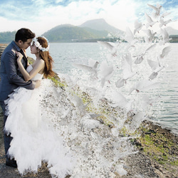 (先着10名様限定価格)幸運の象徴である白い鳩をウエディングドレスから飛び立たせます (ウェルカムボード・結婚記念) 2枚目の画像