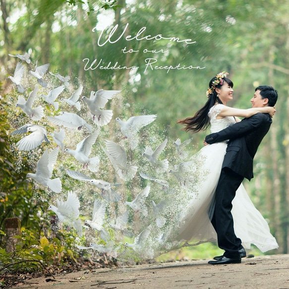 (先着10名様限定価格)幸運の象徴である白い鳩をウエディングドレスから飛び立たせます (ウェルカムボード・結婚記念) 3枚目の画像