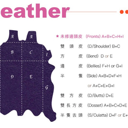 【OMC】14卡1照植鞣革輕薄簡約牛皮長夾(95105紫色) 第10張的照片