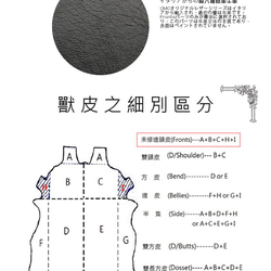 【OMC】15卡2照義大利植鞣革拉鏈手拿包長夾(95102黑色) 第2張的照片