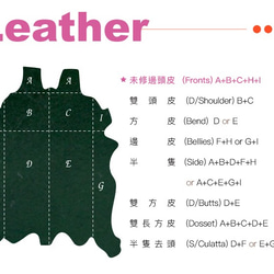 【OMC】14卡1照植鞣革輕薄簡約牛皮長夾(95105綠色) 第10張的照片