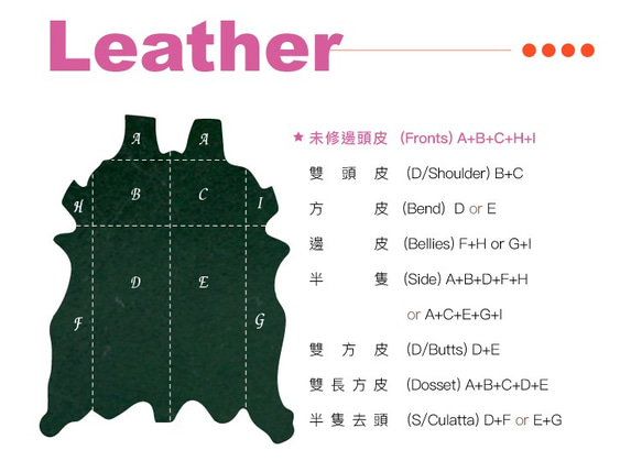 【OMC】14卡1照植鞣革輕薄簡約牛皮長夾(95105綠色) 第10張的照片