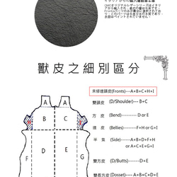 【OMC】12卡1照義大利植鞣革仕女單拉鍊牛皮長夾(95107黑色) 第3張的照片