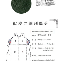 【OMC】12卡1照義大利植鞣革單拉鍊牛皮長夾(95111綠色) 第2張的照片