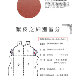 【OMC】16卡1照義大利植鞣革多夾層收納牛皮長夾(95113咖啡) 第2張的照片