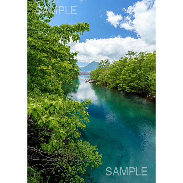 青空と緑を映す千歳川・北海道風景写真 1枚目の画像
