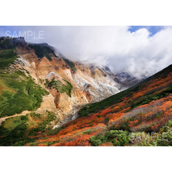 お家で登山気分・秋の富良野岳登山道（その2）、北海道風景写真 1枚目の画像