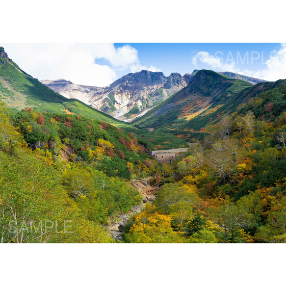 登山口、凌雲閣から眺める秋の山。北海道風景写真 1枚目の画像