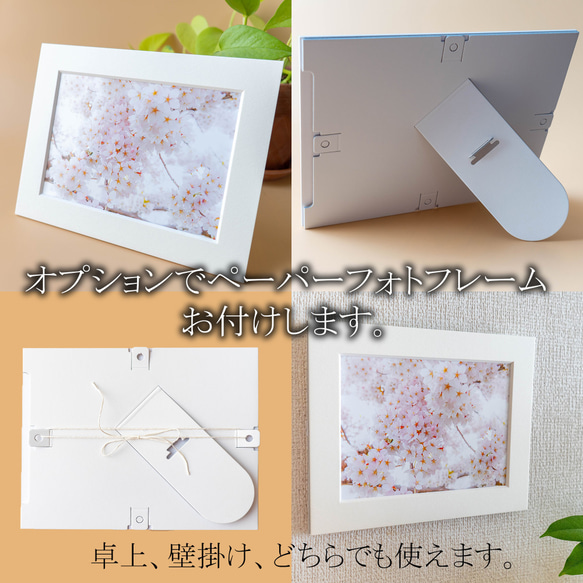 【A4、A3可能】これぞ「桜」ソメイヨシノ・アートポスター 花写真 4枚目の画像