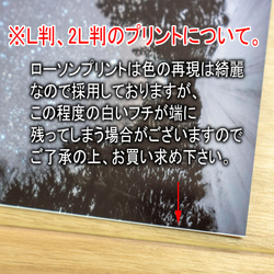 【送料無料】コロナを乗り越えよう・ポジティブな言葉入り、Ｌ判写真 2枚目の画像