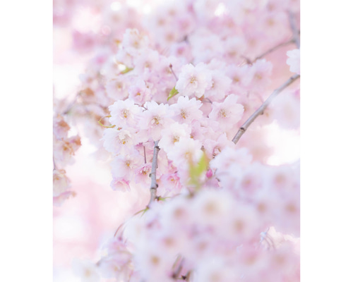0_a4c32713fb2746104a9c9a42ecda