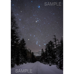 【A4可能】オリオン座へ続く雪道・アートポスター 北海道星空写真 1枚目の画像