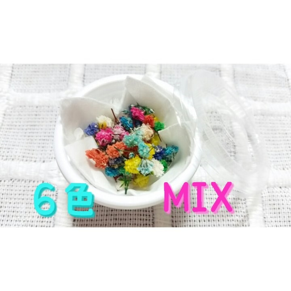 ♡カラフルかすみ草♡ドライフラワー♡6色ＭＩＸ【送料無料】 2枚目の画像