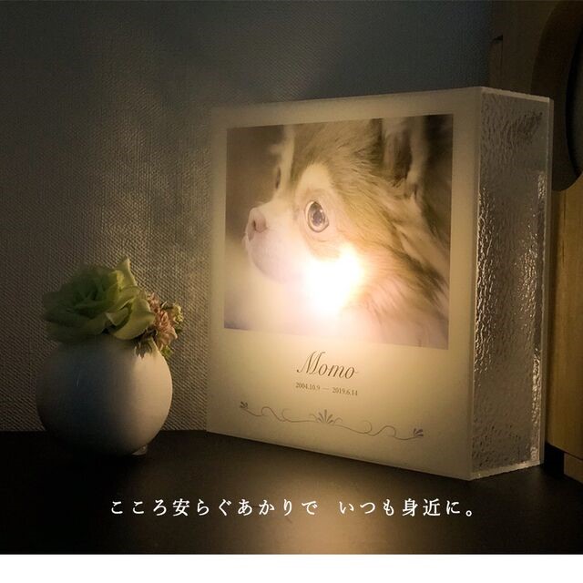犬/猫/愛ペット　オーダーメイド　メモリアル　ブラケットランプ　<BRD-PH>