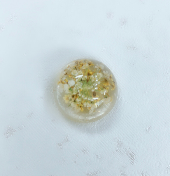 [Aya Clear Base Botanical Cabochon Yellow Agate] 第1張的照片