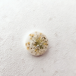 [瑪瑙白基植物凸圓形黃玫瑰] 第1張的照片