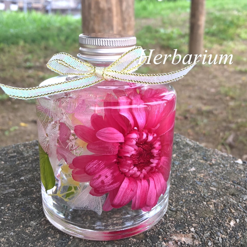 カラー選べる♪ガーベラのハーバリウム♡ ハーバリウム・植物標本