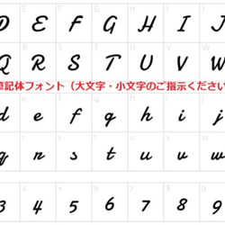 イタリアレザーボールペン　ネックホルダー付き　（お名前刻印可能　期間限定無料） 7枚目の画像