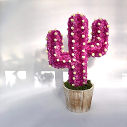 【値下げ】Cactus(ハンズ37/ピンク) カラフルサボテンオブジェ　ドライフラワースターチス 1枚目の画像