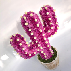 【値下げ】Cactus(ハンズ37/ピンク) カラフルサボテンオブジェ　ドライフラワースターチス 2枚目の画像