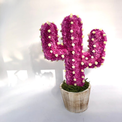 【値下げ】Cactus(ハンズ37/ピンク) カラフルサボテンオブジェ　ドライフラワースターチス 3枚目の画像