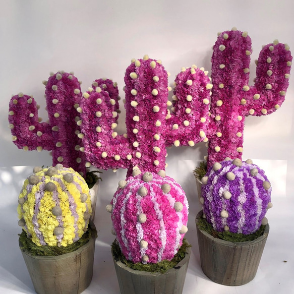 【値下げ】Cactus(ハンズ37/ピンク) カラフルサボテンオブジェ　ドライフラワースターチス 6枚目の画像