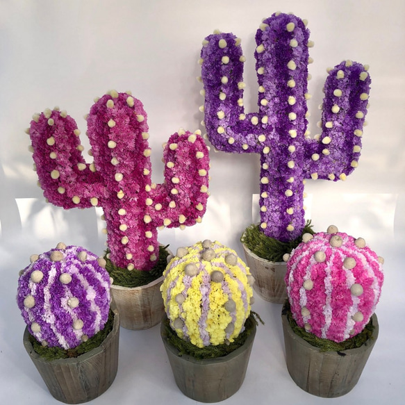 【値下げ】Cactus(バルーン23/イエロー) カラフルサボテンオブジェ　ドライフラワースターチス 5枚目の画像