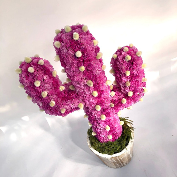 【値下げ】Cactus(ハンズ41/ピンク) カラフルサボテンオブジェ　ドライフラワースターチス 2枚目の画像