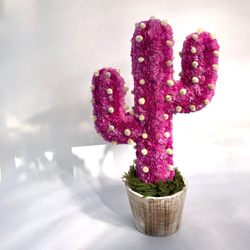 【値下げ】Cactus(ハンズ41/ピンク) カラフルサボテンオブジェ　ドライフラワースターチス 3枚目の画像