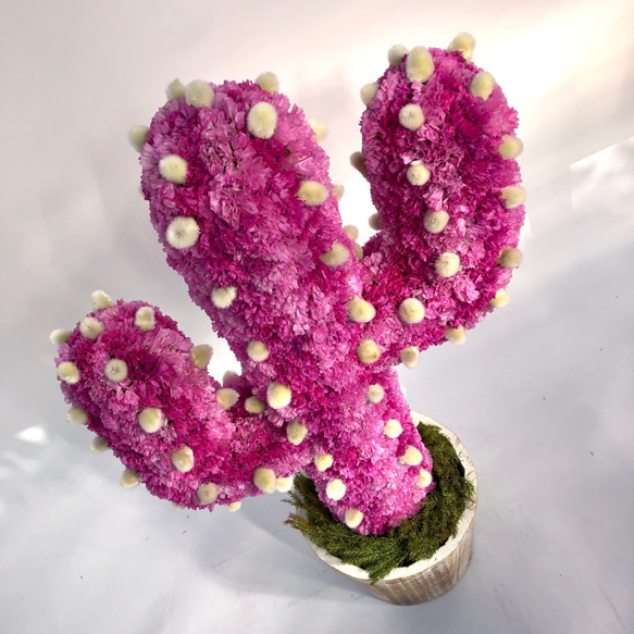 【値下げ】Cactus(ハンズ41/ピンク) カラフルサボテンオブジェ　ドライフラワースターチス 4枚目の画像