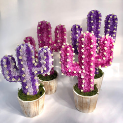 【値下げ】Cactus(ハンズ41/ピンク) カラフルサボテンオブジェ　ドライフラワースターチス 5枚目の画像