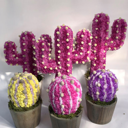 【値下げ】Cactus(ハンズ41/ピンク) カラフルサボテンオブジェ　ドライフラワースターチス 6枚目の画像