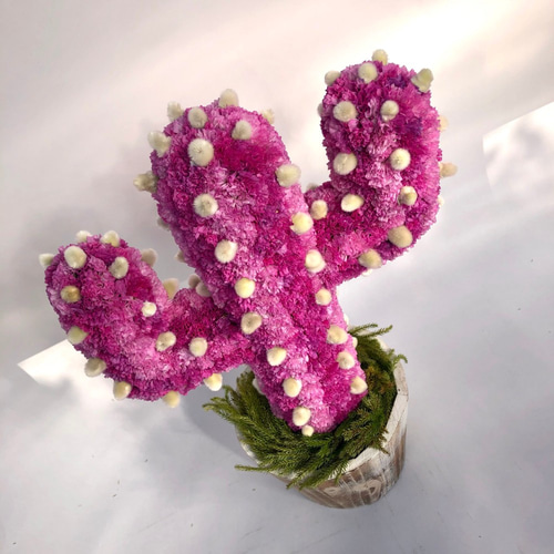 値下げ】Cactus(ハンズ34/ピンク) カラフルサボテンオブジェ ドライ