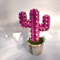 【値下げ】Cactus(ハンズ34/ピンク) カラフルサボテンオブジェ　ドライフラワースターチス 3枚目の画像