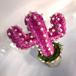 【値下げ】Cactus(ハンズ34/ピンク) カラフルサボテンオブジェ　ドライフラワースターチス 4枚目の画像