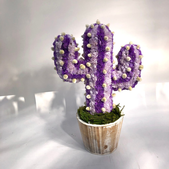 Cactus(ハンズ34/ライトパープル) カラフルサボテンオブジェ　ドライフラワースターチス 4枚目の画像