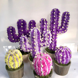 Cactus(ハンズ34/ライトパープル) カラフルサボテンオブジェ　ドライフラワースターチス 6枚目の画像