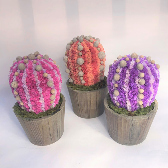 【値下げ】Cactus(バルーン23/オレンジ) カラフルサボテンオブジェ　ドライフラワースターチス 4枚目の画像